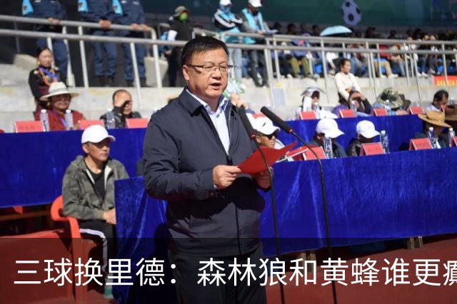 三球换里德：森林狼和黄蜂谁更癫？！