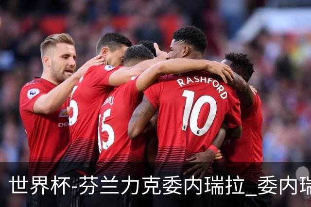 世界杯-芬兰力克委内瑞拉 委内瑞拉0胜5负告别