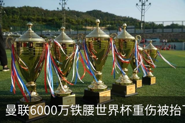 曼联6000万铁腰世界杯重伤被抬下，疑似ACL撕裂泪流满面！夏窗转会恐成泡影